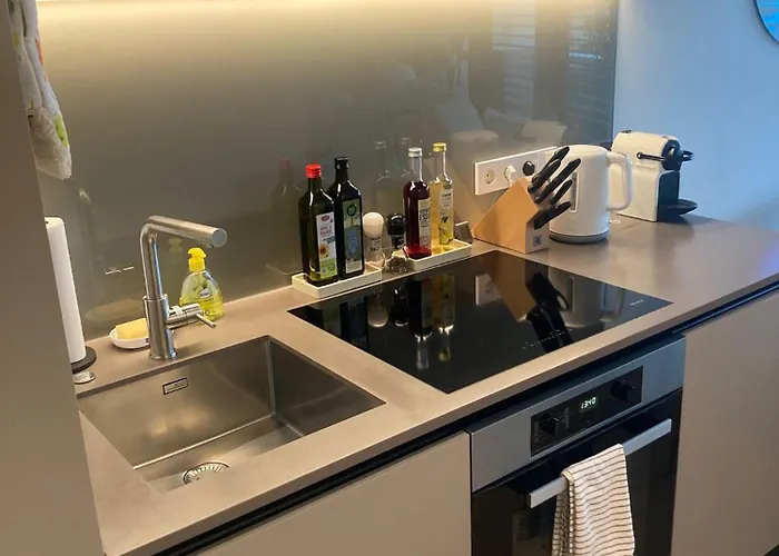 Wellness Oase Direkt An Der Donau In 22 Nahe Zum Vic International Center And Uno * Vídeň